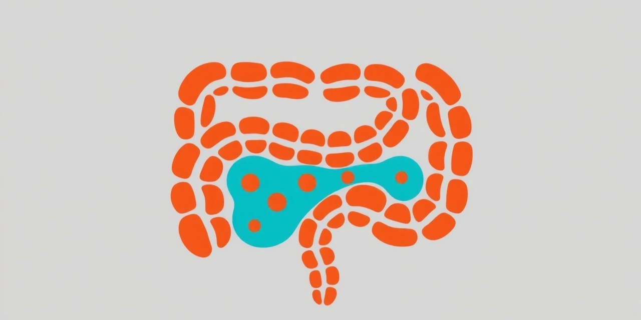 Gut Barrier Mechanism