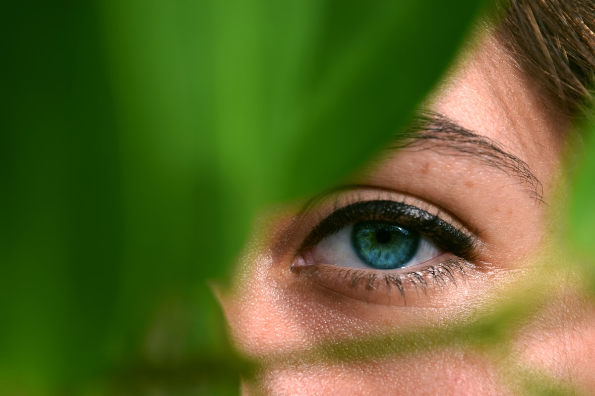 Colorful fruits and vegetables rich in eye nutrients