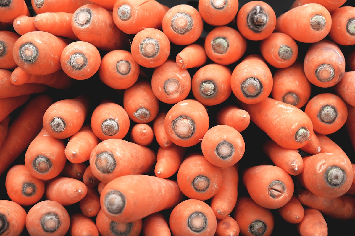 Vitamin A and Vision